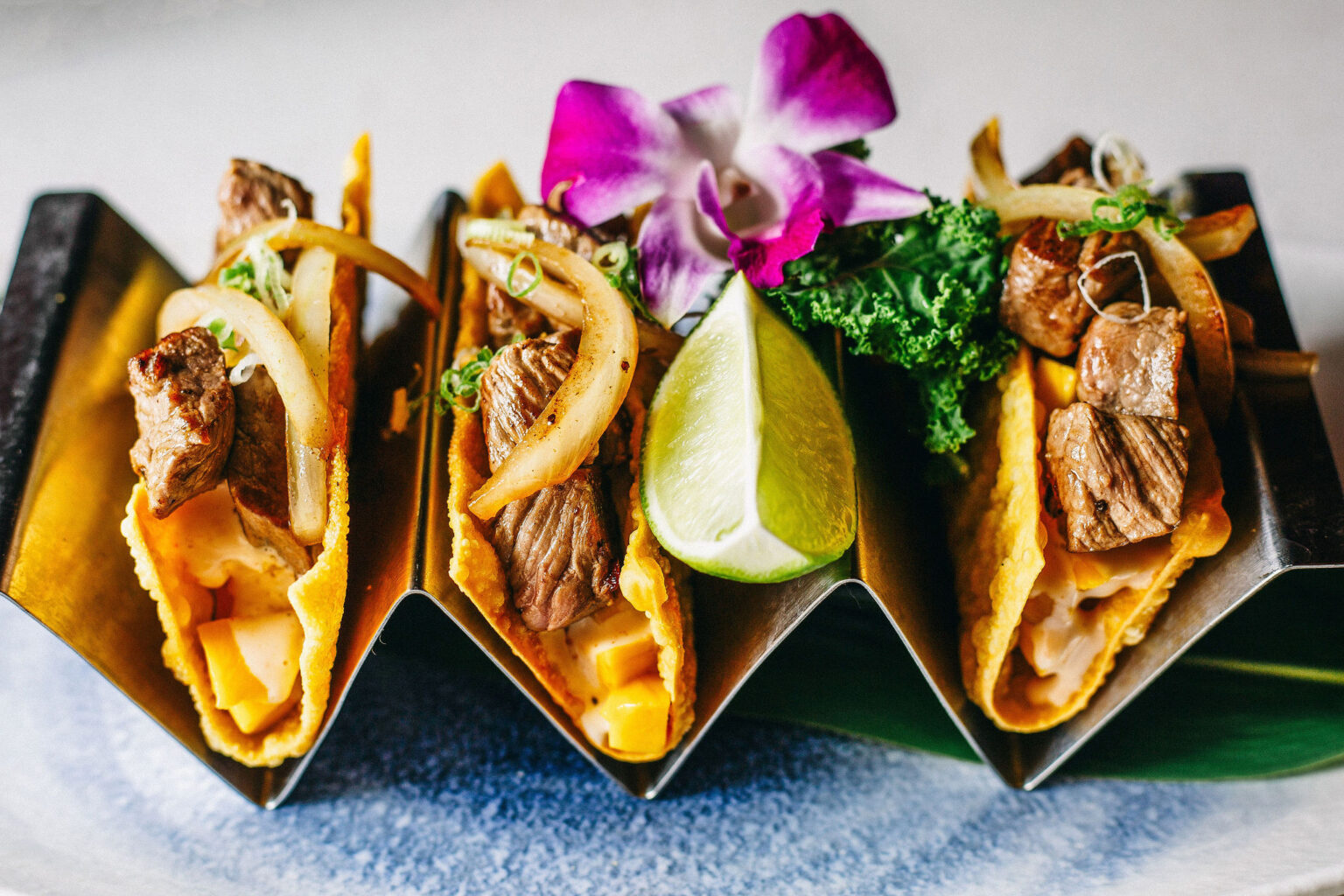 House of Umami | Now Open in Northville – House of Umami